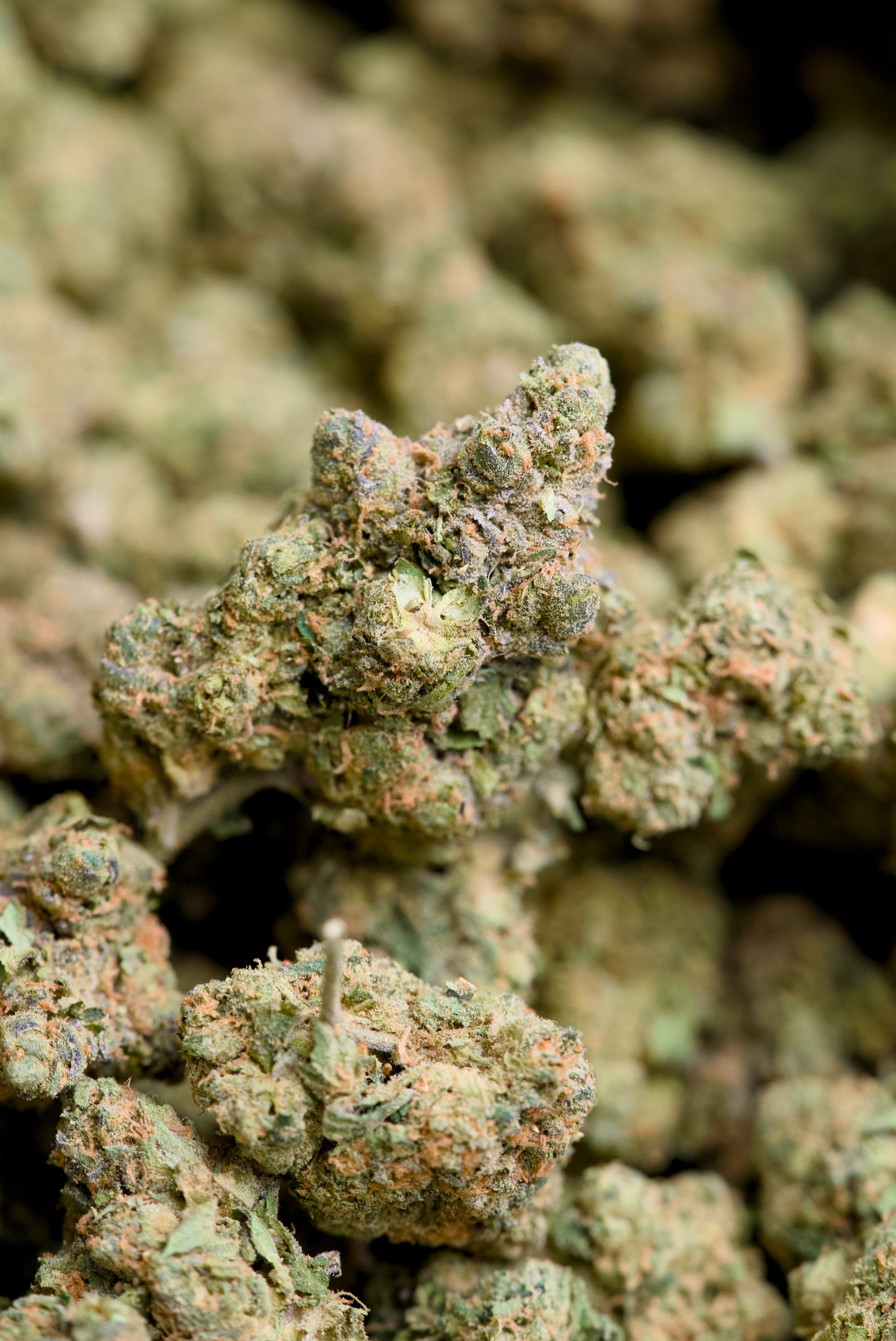 Lantana Texaco – 1 Gram Top Shelf Hemp Flower