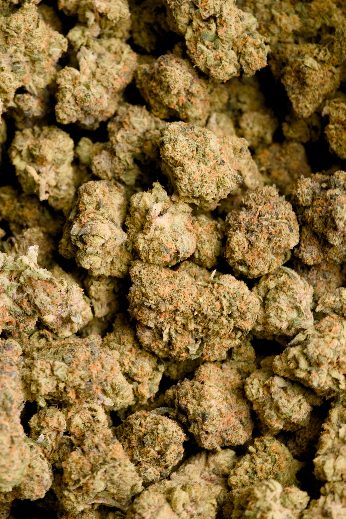 Lantana Texaco – 1 Gram Top Shelf Hemp Flower