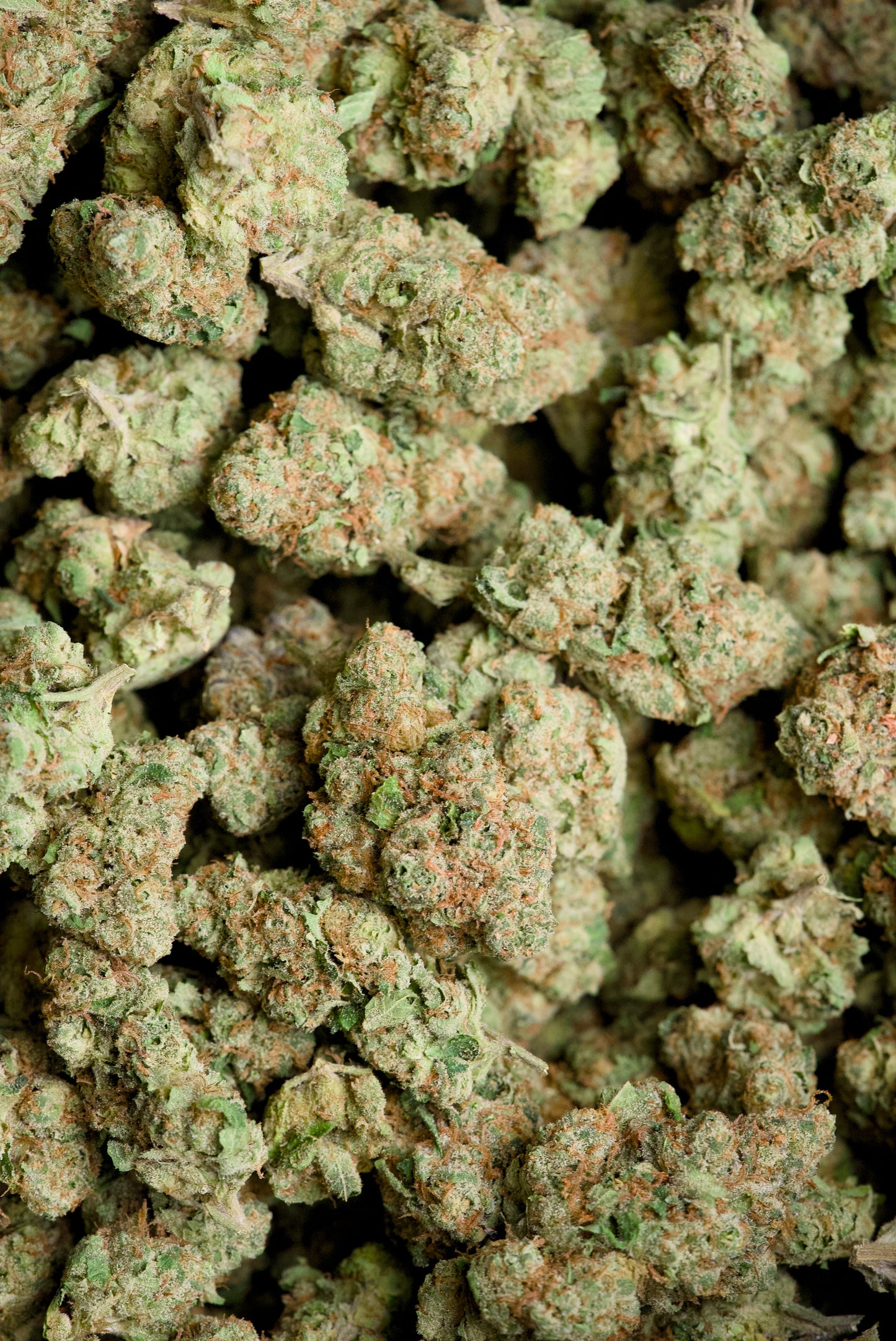 Lantana Texaco – 1 Gram Top Shelf Hemp Flower