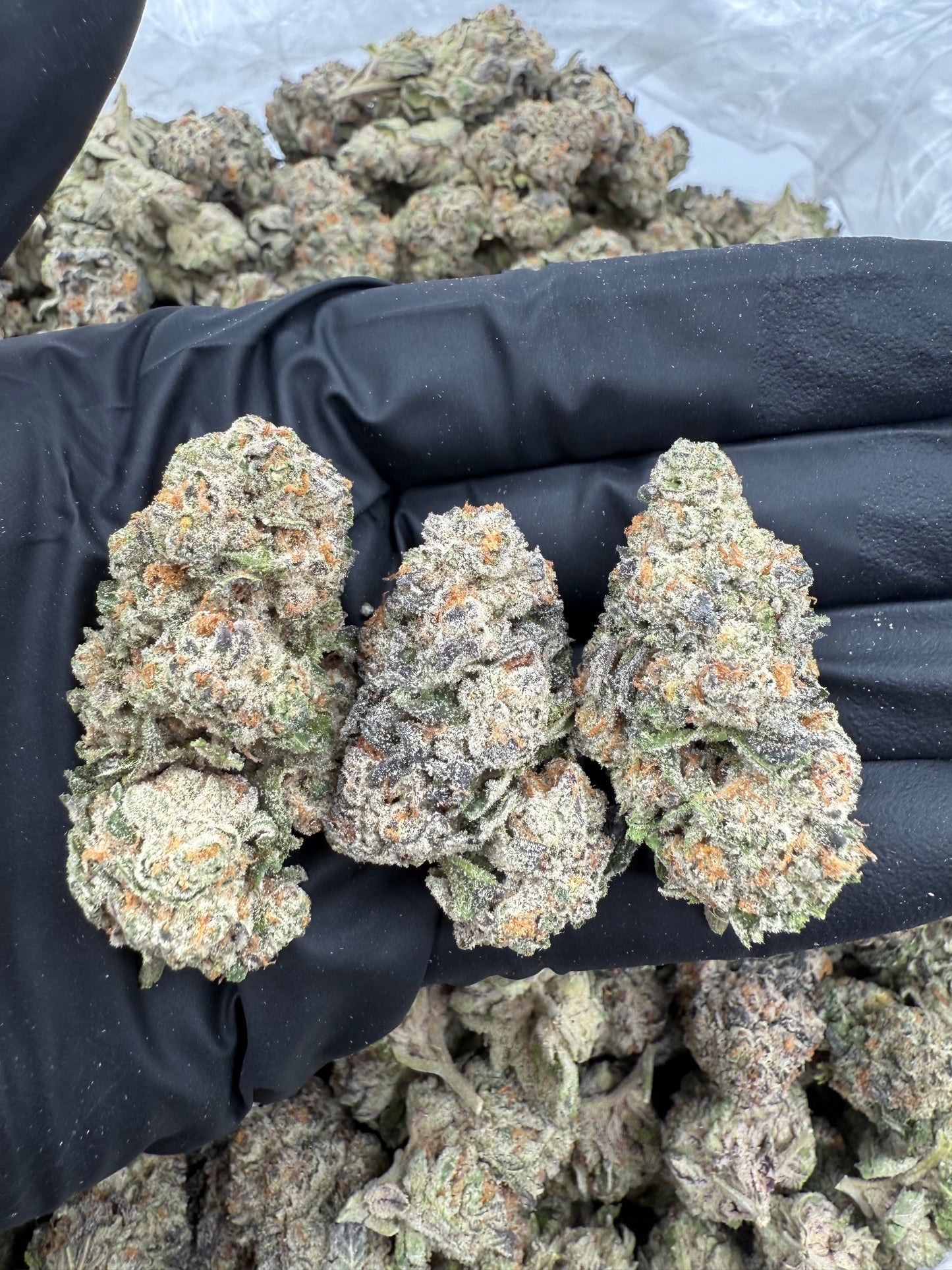 Lantana Texaco – 3.5 Gram Top Shelf Hemp Flower