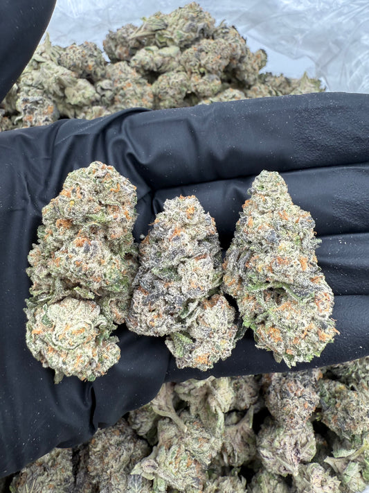 Lantana Texaco – 3.5 Gram Top Shelf Hemp Flower