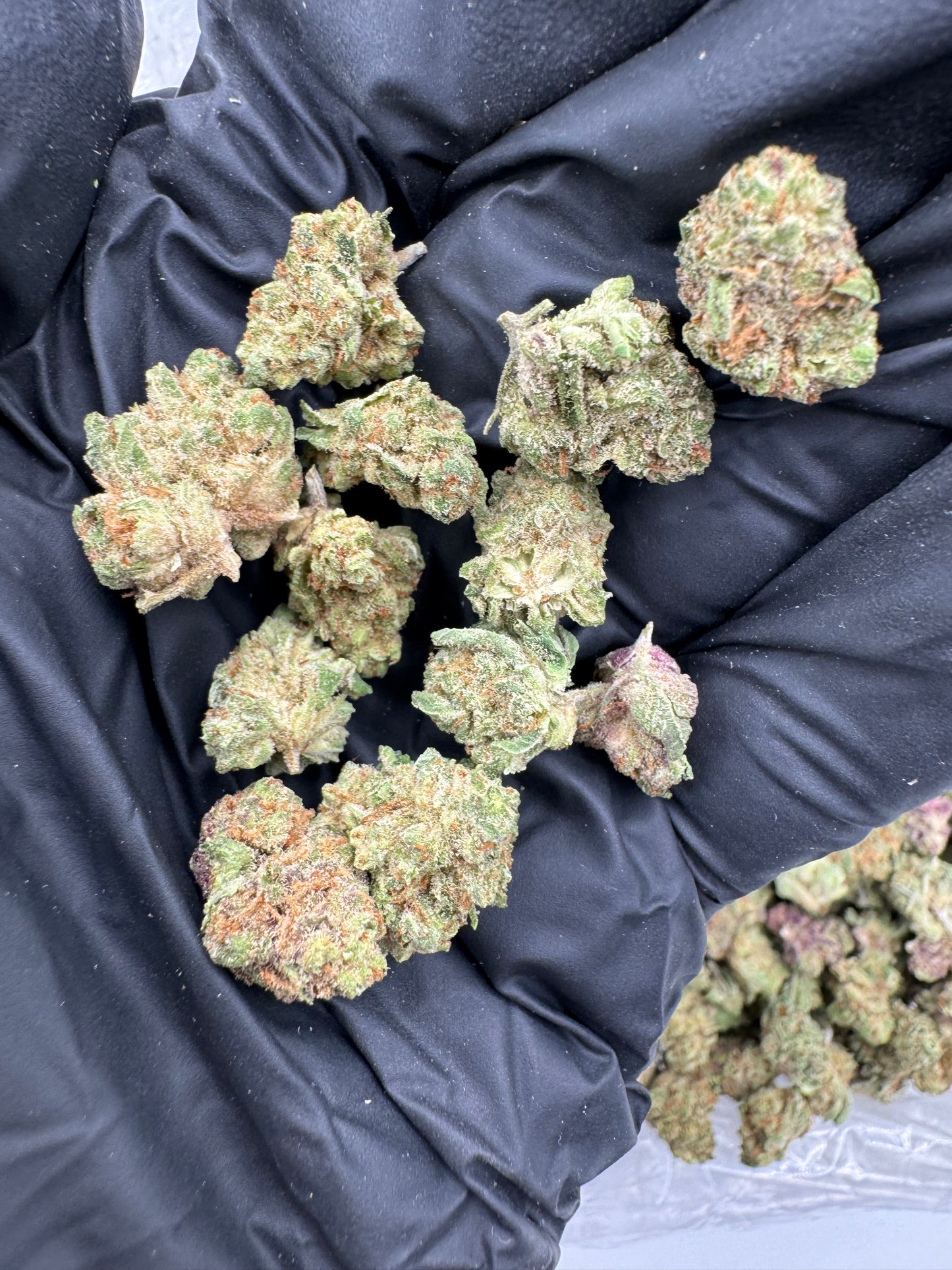 Lantana Texaco – 1 Gram Top Shelf Hemp Flower